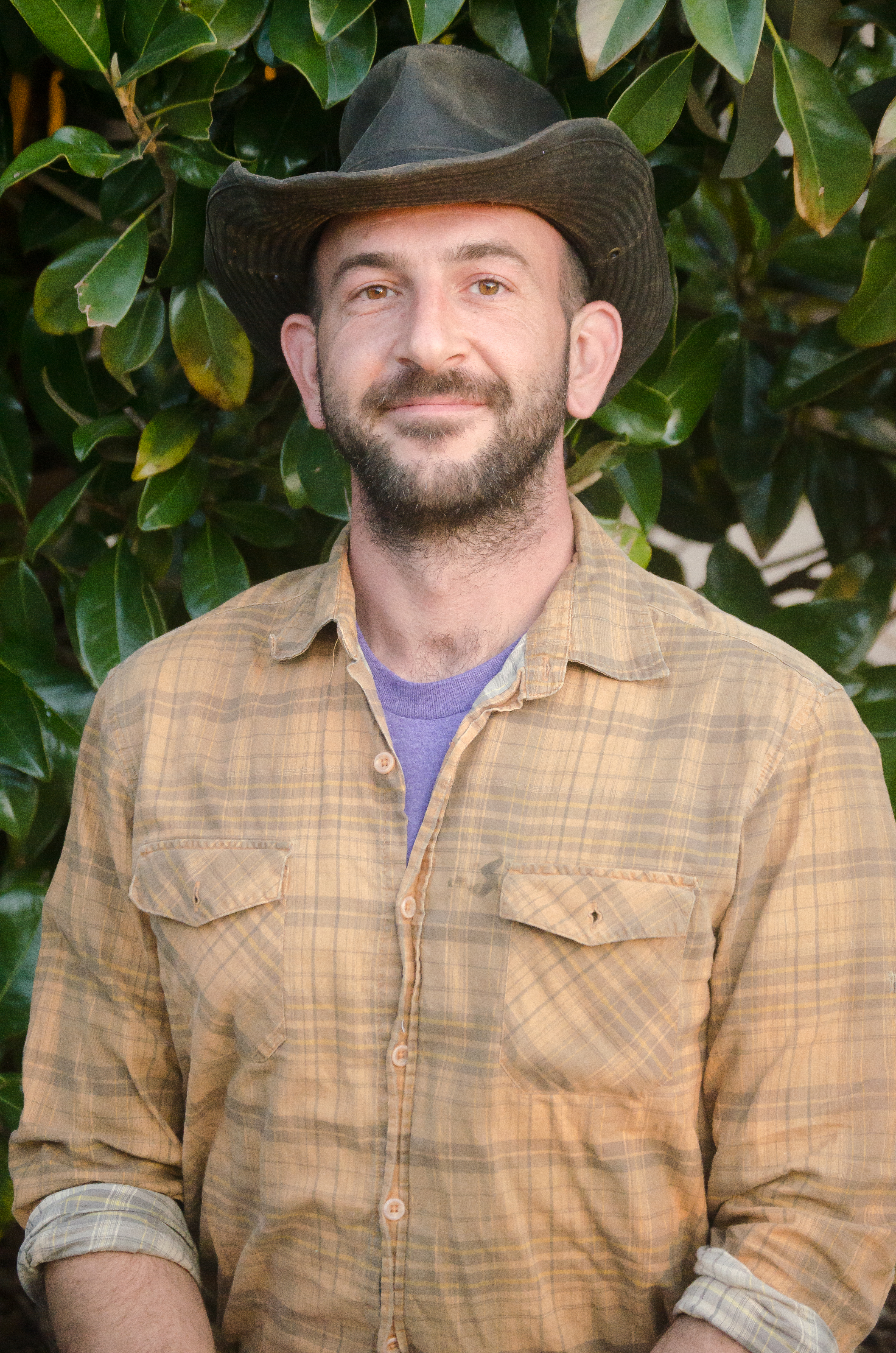 Piper - Level & Anvil